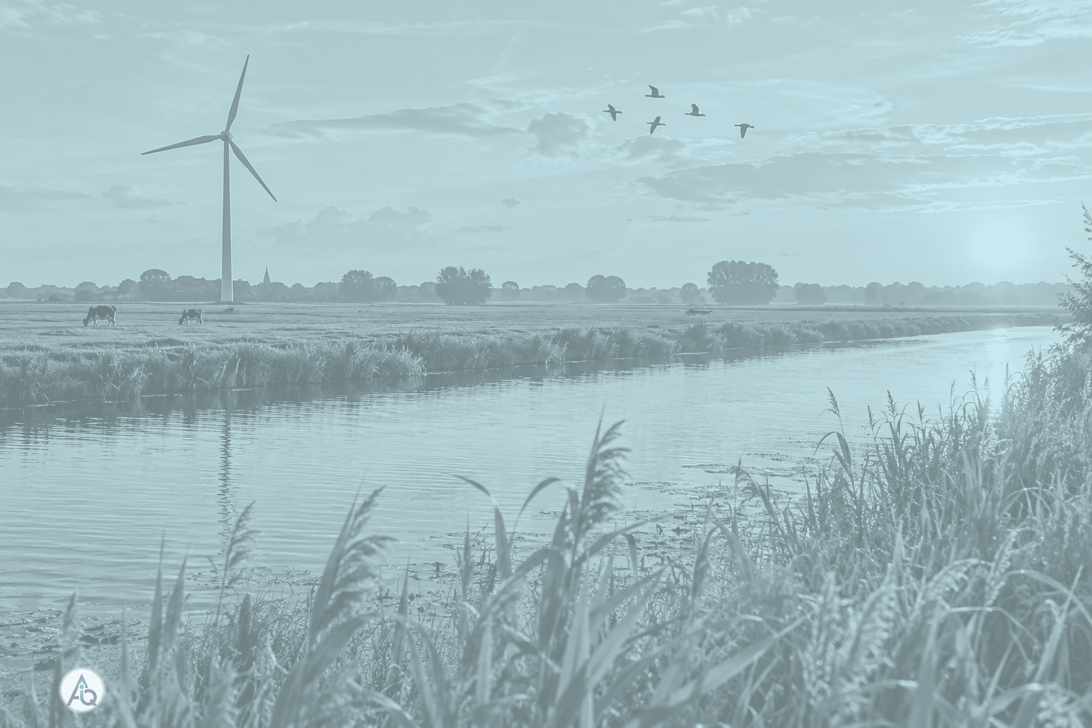 Nederlands landschap bij gouden licht: windmolen boven groene weiden, een rustige rivier met riet en vliegende vogels